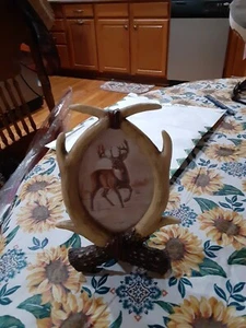 Western Home Decor Deer Antler Picture Frame Oval New - Picture 1 of 5