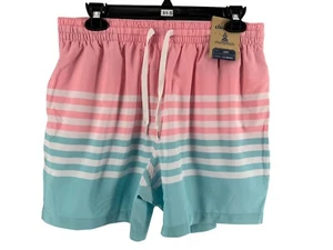 Bañador Chubbies The One The Horizons clásico entrepierna grande para hombre 5,5 pulgadas NUEVO - Imagen 1 de 7