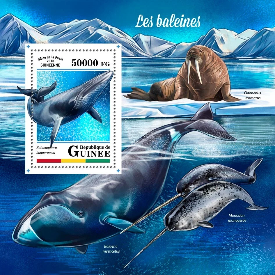 Whales Aquatic Placental Marine Mmmals MNH Stamps 2018 Guinea S/S - Изображение 1 из 1
