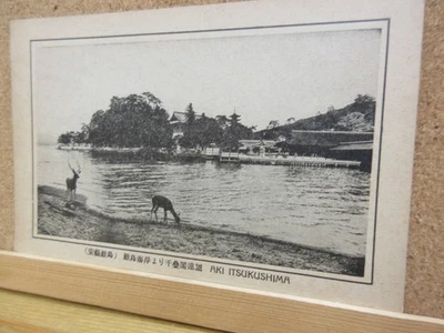 Carte postale Itsukushima vue lointaine côte de Senjogadake occasion, 2107181... - Photo 1/3