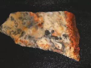 Crazy Lace Agate slab 4 5/8" x 2 7/8-- rough, cabbing--display Geology - Picture 1 of 3