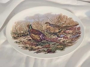 Plato vintage de 11" faisán gamebird de mediados de siglo - Imagen 1 de 9