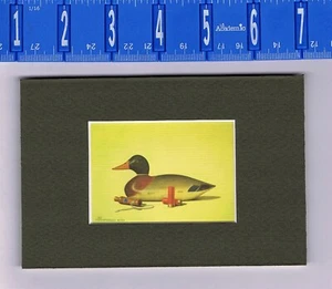 CALIFORNIA 1984-85 STATE DUCK MALLARD DECOY Hunting Stamp Art Print-Matted  - Picture 1 of 1