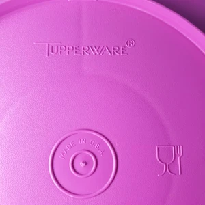 VTG Tupperware Divided Serving Tray Platter Plate Snack Keeper Container - Picture 1 of 5