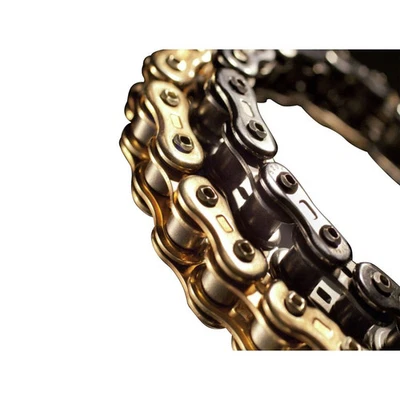 Cadena de anillos EK 520 3D GP SX2 - oro, 120 eslabones 520GP3D-120G Foto 1 de 2