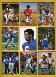 Juego de 9 cartas Pro Line Profiles Rodney Peete Detroit Lions 1992 - Imagen 1 de 1