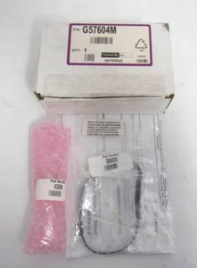 POLEA PASO A PASO Y CORREA ZEBRA G57604M - Imagen 1 de 7