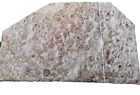 Caucasian Burr Walnut Veneer 2 sheets  62 cm by 36 cm cm (2053)
