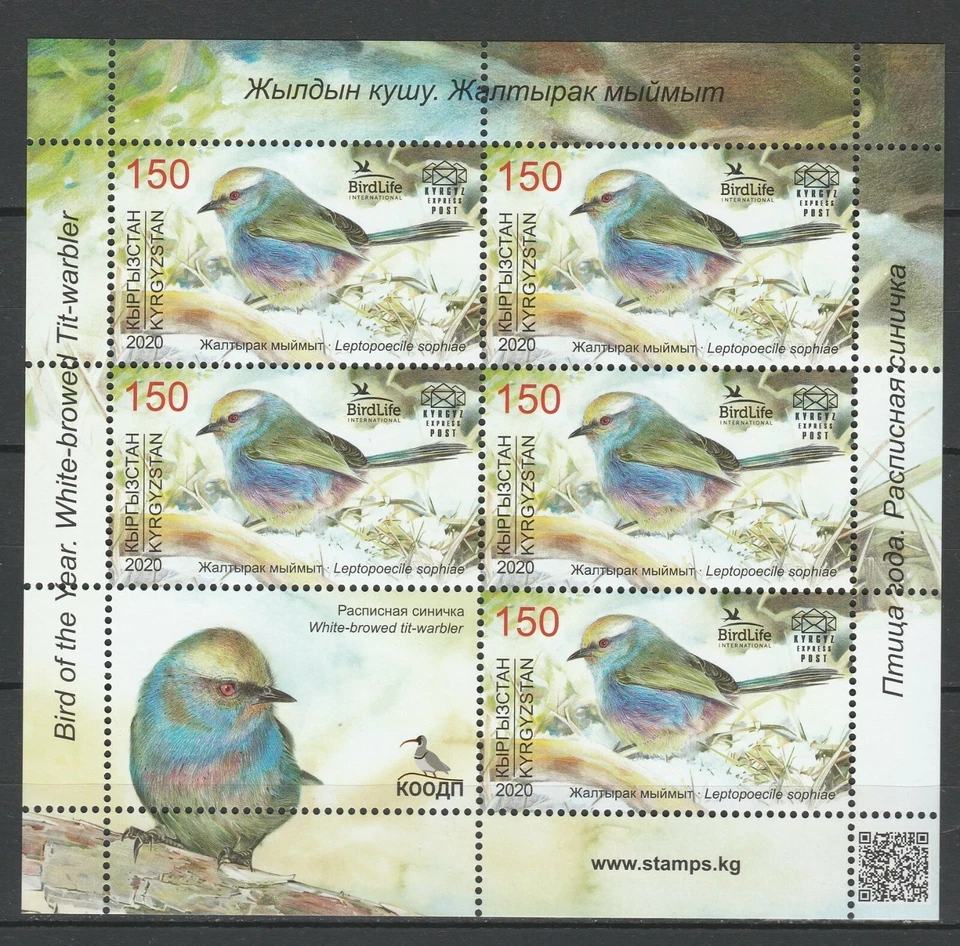 Kyrgyzstan 2020 Birds MNH sheet - Image 1 of 1