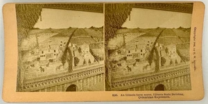 SV027_028 Stereoview Chicago's World's Fair Illinois Farm Scene - Picture 1 of 1