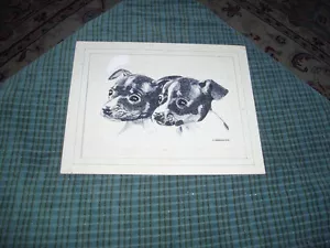 Vintage Hand Drawn Pen & Ink TERRIER PUPPIES DOG Drawing Signed: H. Blumenfeld - Picture 1 of 4