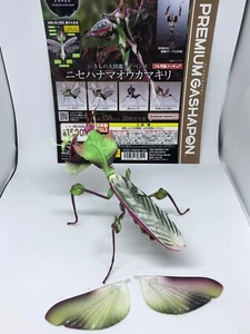 Mantis Flor del Diablo Bandai Gashapon - Hombre - Imagen 1 de 10