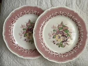 2 RARE Vintage Ridgways 875 Devon-ware Scalloped PLATES RED Rim England #839350 - Bild 1 von 6
