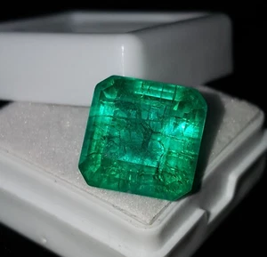 9.77 Ct Natural Colombian Green Emerald Certified Loose Gemstone Square Cut Gems - Foto 1 di 10