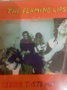 Clouds Taste Metallic by The Flaming Lips (CD, 1995) - Picture 1 of 1