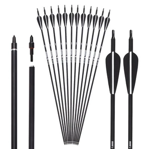 12x 26/28/30" Archery Carbon Arrows Compound Recurve Bow Target Practice Hunting - Picture 1 of 7