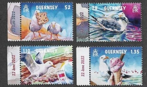 GUERNSEY BIRDS MISCHIEVIOUS SEAGULLS SET MNH 2022 - Picture 1 of 1