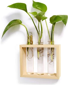 Wall Hanging Plant Propagation Glass Planter Station 3 Tubes with Wood Stand Flo - Picture 1 of 12