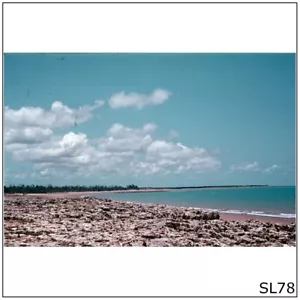 NT #1062 Beach Photographic 35mm 1975 Film Slide (SL78) - Picture 1 of 1