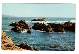 Postcard CA Seal Rocks 17 Mile Drive Monterey Peninsula California Vintage View - Picture 1 of 2