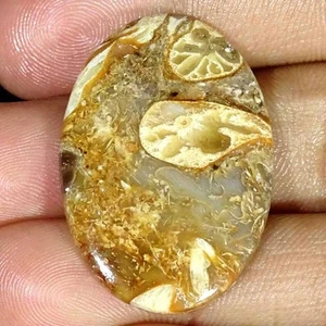 Piedra preciosa suelta cabujón ovalado ágata calci roca natural 28,40 quilates - Imagen 1 de 5