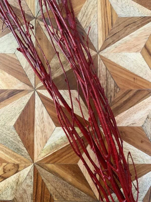 Birch Branch Pack of 3 Branches 3-4 Ft Red - Image 1 of 3