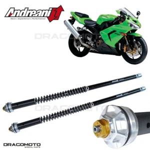 KAWASAKI ZX-10R 2004-2005 cartuccia ANDREANI 105/K31E MISANO EVO - Foto 1 di 5