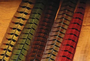 WAPSI DYED PHEASANT TAIL CENTRE FEATHERS - PACKET OF 2 (PTP)***2025 Stocks****** - Picture 1 of 1