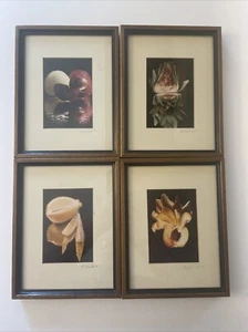 Framed fruit still life pictures, set of 4. Professionally framed. - Picture 1 of 7