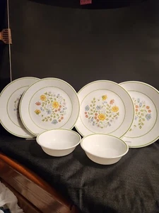 Corelle Expressions MEADOW 4 Dinner Plates & 2 Bowls Vintage Excellent Condition - Picture 1 of 7