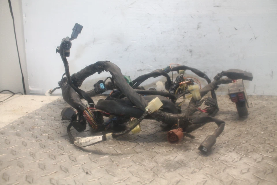 Suzuki Boulevard 2008 motor principal arnés de cableado motor telar de cable Foto 1 de 1