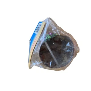 New Beistle Coconut Cup 10 oz included Straw flower Plastic Beach Luau Fun Party - Picture 1 of 2