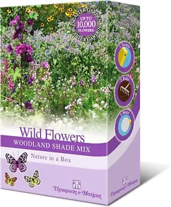 Woodland Garden Wildflower Seeds for Bees and Butterflies | Wild Flower Seed...  - Picture 1 of 8