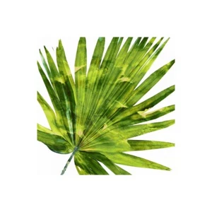 Stampa su Tela su Carta Poster o Quadro Miller Melonie Tropical Palm IV - Imagen 1 de 2