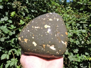 (4 Pounds+) Agate Nursery Porphyry Basalt GALAXY Stone Nodule. (Crumbly End) - Picture 1 of 22