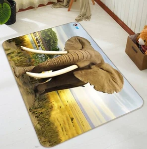 3D Wiese Elefant NMN480 Spiel Teppich Mat Elegant Foto Teppich Eve 2023 - Bild 1 von 5