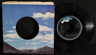 Rick Derringer-Teenage Love Affair-Stereo-Mono DJ-Blue Sky ZS7 2752-VTG '73 DJ!! Foto 1 de 2