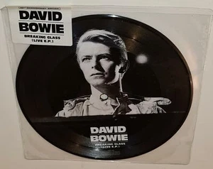 DAVID BOWIE ALABAMA SONG (2020) BRAND NEW PICTURE DISC 7" VINYL - Picture 1 of 1