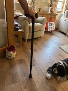 Cool Crutches Black Glitter Walking Stick - Picture 1 of 3