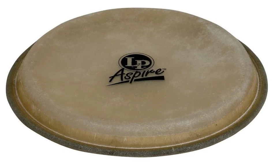 LP Aspire 6.75" Bongo Head - Image 1 of 1