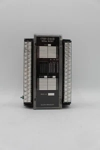 Módulo de E/S bloque de 32 puntos Allen-Bradley 1791-24A8 - Imagen 1 de 4