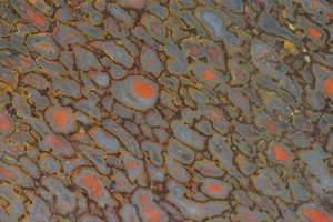 Agatized Dinosaur Bone Slab, Utah, EX Shirley Collection, 185 grams - Picture 1 of 5