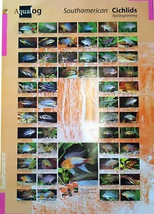 AQUALOG: Poster Dwarf Cichlids 1 (Apistogramma + Other Dwarf Cichlids) - Picture 1 of 1