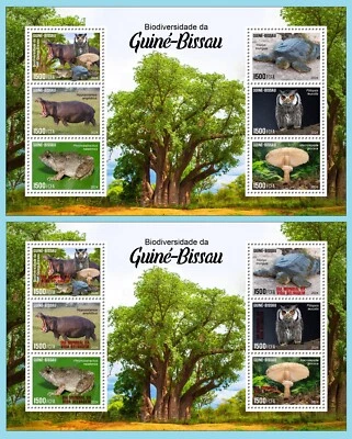 GUINEA BISSAU 2024 MS REG& OVPT BAOBAB MUSHROOM FROG TURTLE HIPPOPOTAMUS OWL 全新 — 第 1/3 张图片