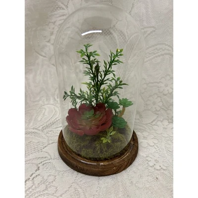 Artificial Succulent Plant Dome Cloche Glass Terrarium Arrangement Wood Base - Image 1 of 4