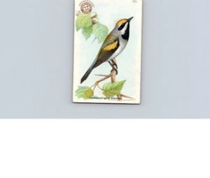1918 Arm & Hammer Useful Birds America Second Series Golden-winged Warbler No 20 - Picture 1 of 2