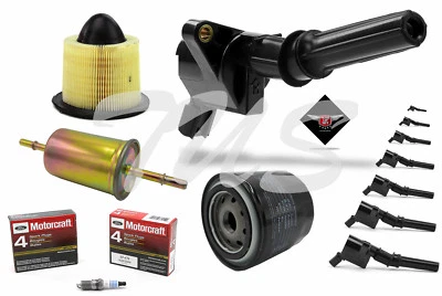 Tune Up Kit 2002 Ford Expedition 5.4L V8 Ignition Coil DG508 SP479 FA1632  Foto 1 de 4