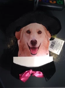 NEW- Celebrate It Hat wig and & Collar for M/L/G Dog Halloween Costume - Picture 1 of 11