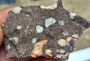Amygdaloidaler Basalt aus Kupferland Kewenaw Halbinsel Michigan - Display - Bild 1 von 8