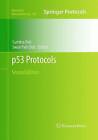 p53 Protocols - 9781493959334
